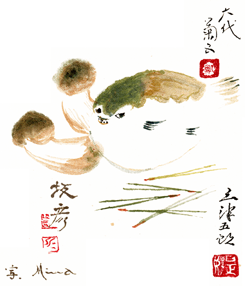 ふぐのイラスト